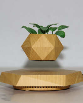 Hexagon Wood Grain Pot